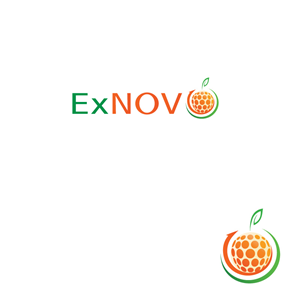Logo Design by instudio for Ex Novo | Design: #990358