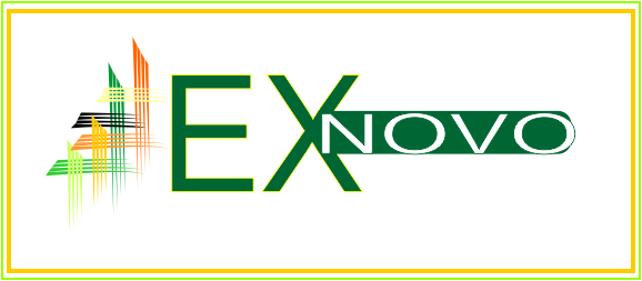 Logo Design by anointed visions graphics for Ex Novo | Design #995323
