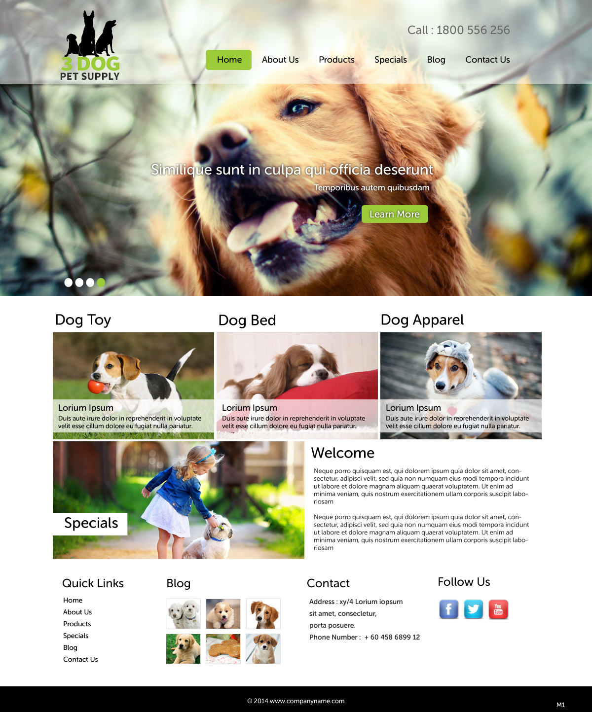 Web-Design von pb für PageTree | Design #3728525
