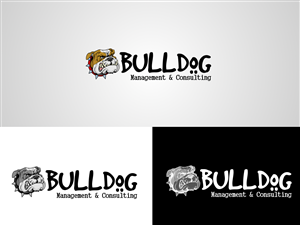 Logo Design by Kronikken
