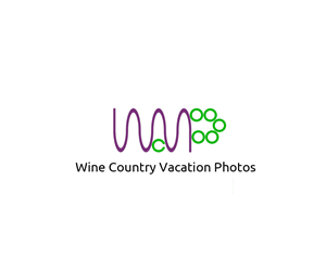 Logo Design by kjc for Rachel Piersig Photography | Design #3769334