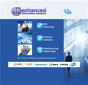 Poster Design by Bins for Enhanced Information Solutions | Design: #3740450