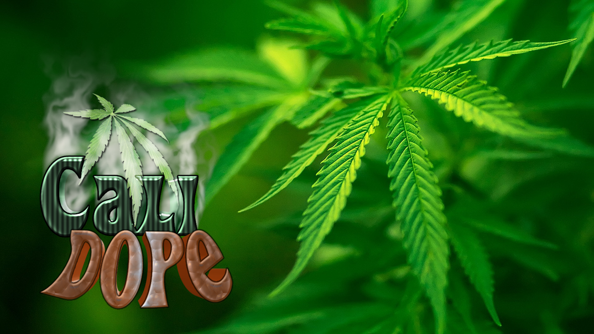 Logo Design by claboo for Mattman Seeds | Design #3737716