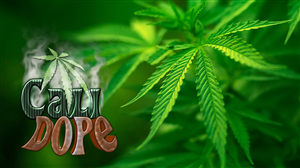 Logo Design by claboo for Mattman Seeds | Design #3737716