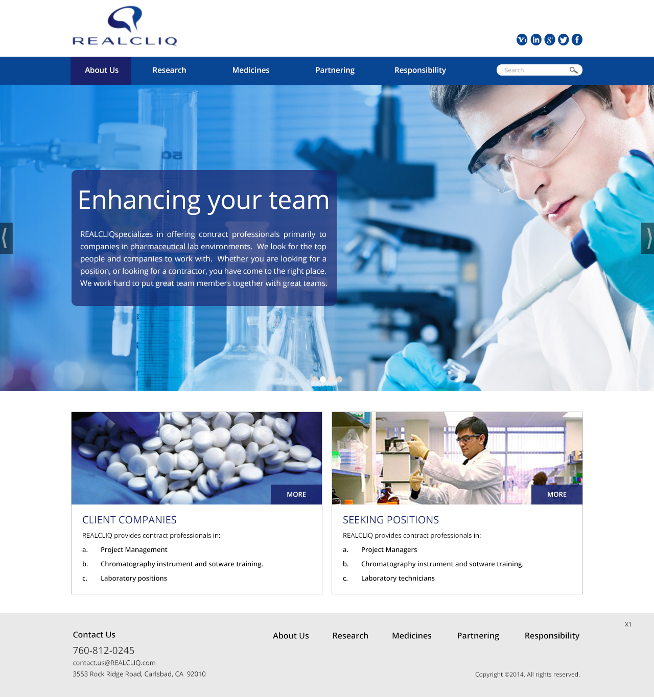 Web Design by pb for Reacliq Inc. | Design #3731129