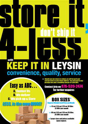 50 flyer designs college flyer design project for a business in storage flyer