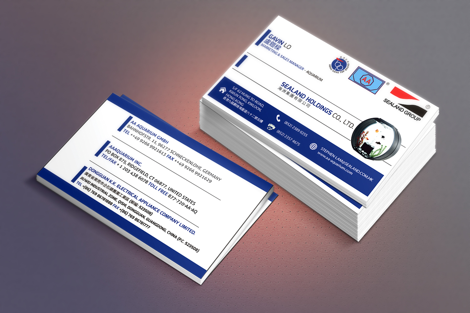 Visitenkarten-Design von dinesh sridharan für Sealand Holdings Co., Ltd.  | Design: #3762412