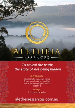 Flyer Design by ciolena for this project | Design: #3724831