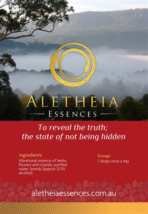 Flyer Design by ciolena for this project | Design: #3724832