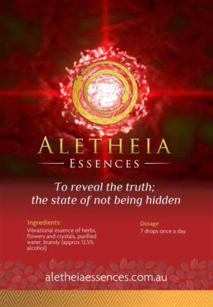 Flyer Design by ciolena for this project | Design: #3724872
