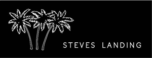 Logo Design by graphicdevine