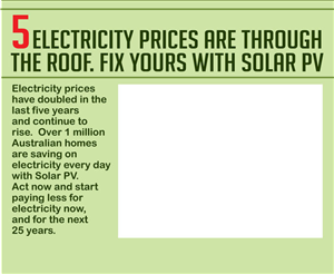 Infographic Design by Expert Designer for SolarFarm | Design: #3738284