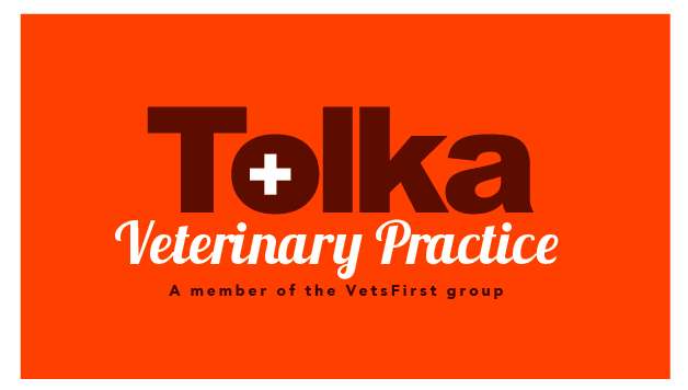 Logo Design by TSEdesign for VetsFirst Ltd | Design #3775968