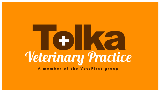 Logo Design by TSEdesign for VetsFirst Ltd | Design #3775975