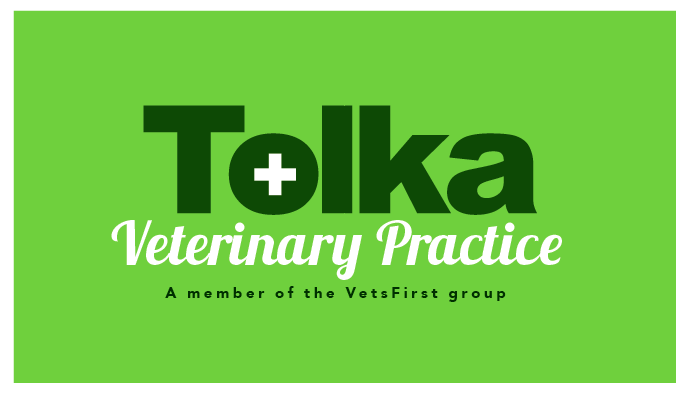 Logo Design by TSEdesign for VetsFirst Ltd | Design #3775979