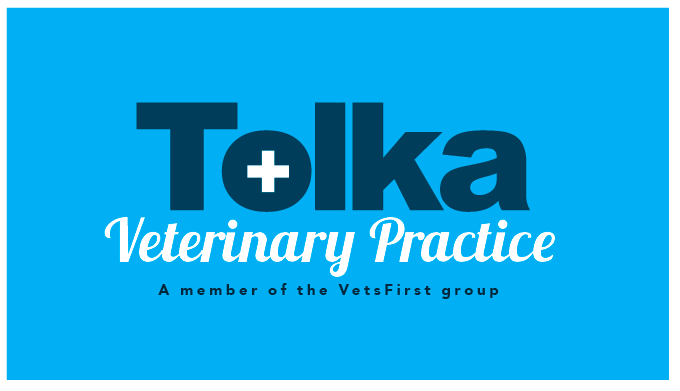 Logo Design by TSEdesign for VetsFirst Ltd | Design #3775985