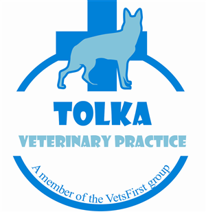 Logo Design by b3b36043 for VetsFirst Ltd | Design: #3767636