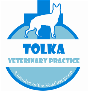 Logo Design by b3b36043 for VetsFirst Ltd | Design: #3767640