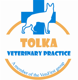 Logo Design by b3b36043 for VetsFirst Ltd | Design: #3767641