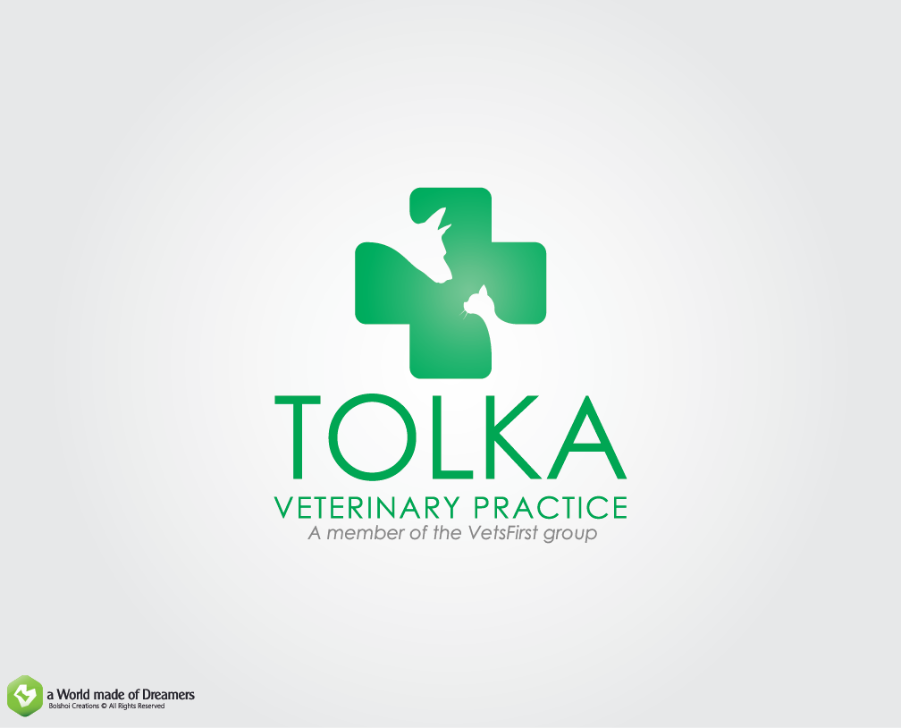 Logo Design by Bolshoi Creations for VetsFirst Ltd | Design #3780326