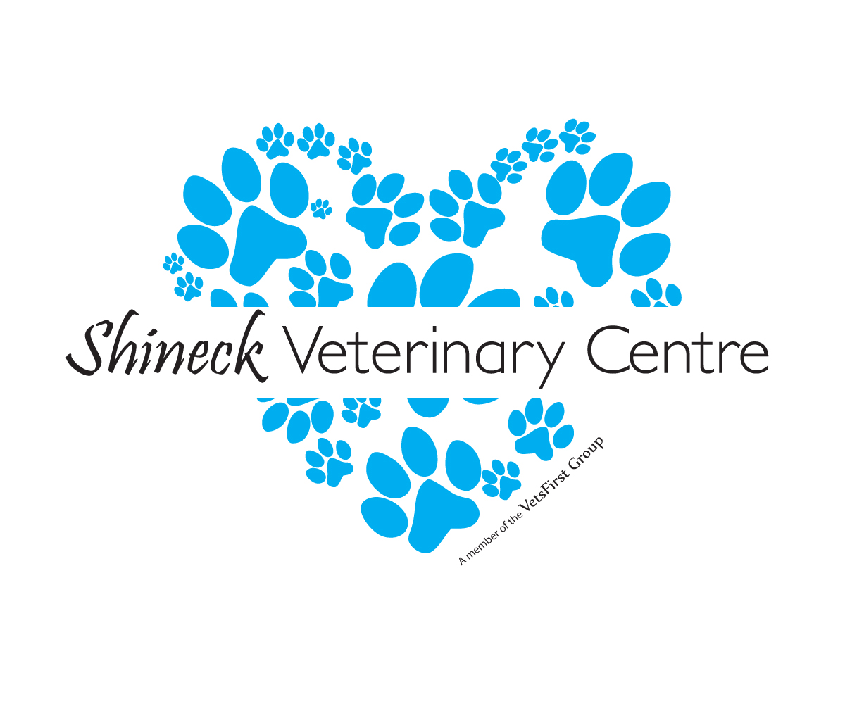 Logo Design by Guzzy for VetsFirst Ltd | Design #3803665