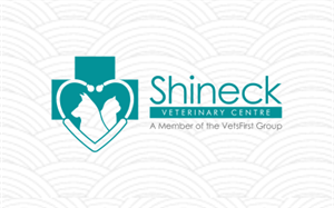 Logo Design by JL 2 for VetsFirst Ltd | Design: #3848438