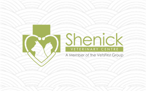 Logo Design by JL 2 for VetsFirst Ltd | Design #3915794