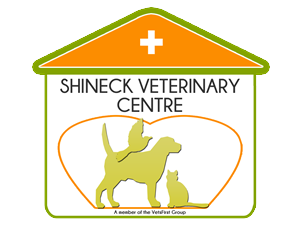 Logo Design by claudine21 for VetsFirst Ltd | Design #3793312