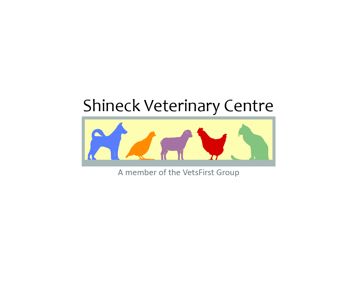 Logo Design by AleOnDaWeb for VetsFirst Ltd | Design #3823904