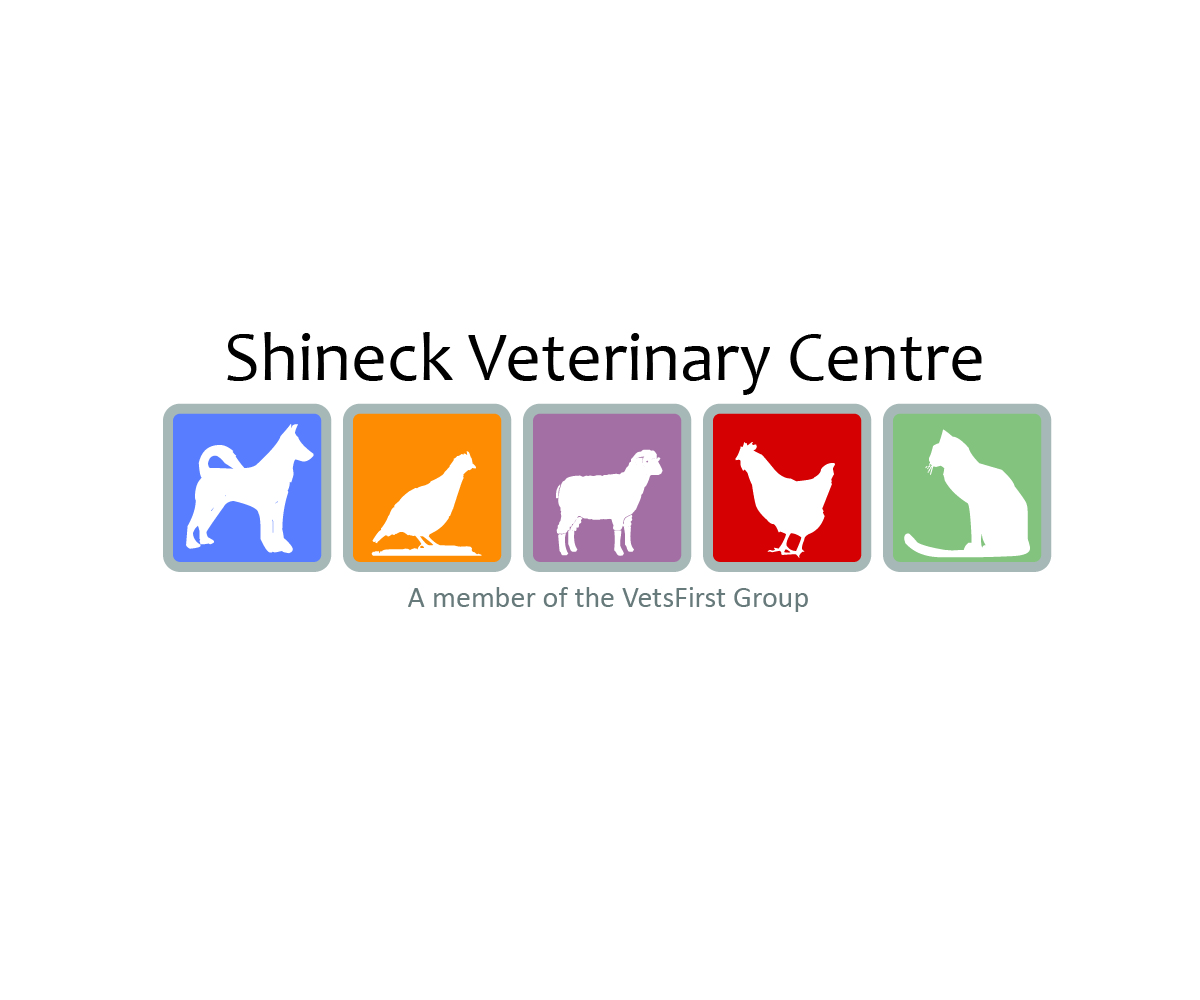 Design de Logo par AleOnDaWeb pour VetsFirst Ltd | Design #3823949