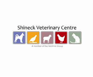 Logo Design by AleOnDaWeb for VetsFirst Ltd | Design: #3823949