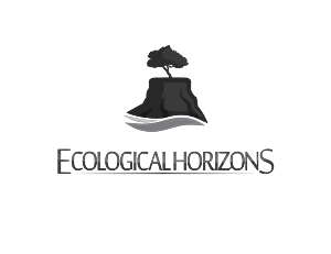 Logo Design by All American Designs for this project | Design: #3737451