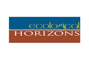 Logo Design by Essence