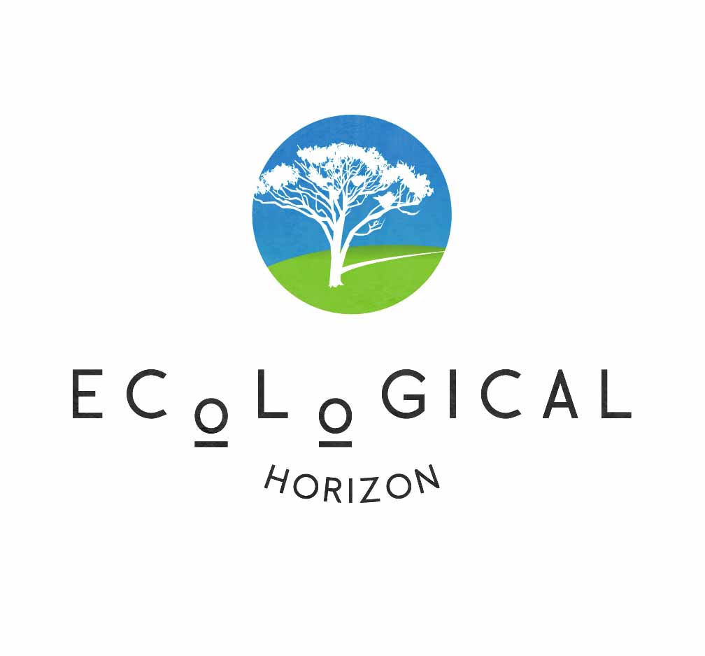 Logo Design by Daniel James for this project | Design #3734912