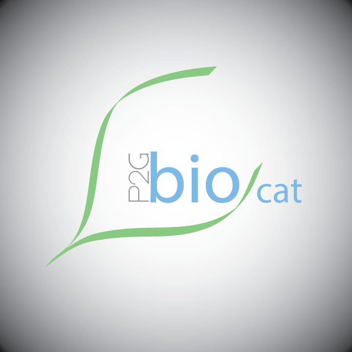 Logo Design by kkazi11 for this project | Design #3759095