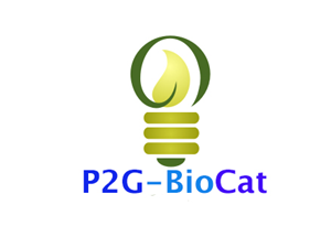 Logo Design by profetionalworks