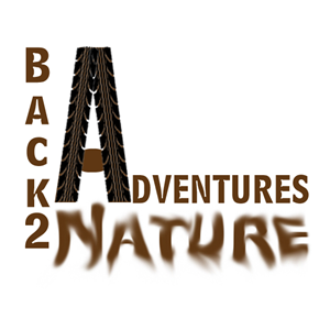 Logo Design by RC Design 