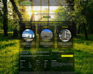 Diseño Wordpress por SoniaShKAhmed para Websites Made Easy Limited | Diseño #3749361