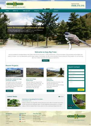 Wordpress Design by pb for Websites Made Easy Limited | Design: #3748943