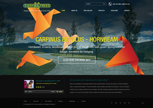 Wordpress Design by pb for Websites Made Easy Limited | Design: #3748954