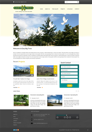 Wordpress Design by pb for Websites Made Easy Limited | Design: #3748956