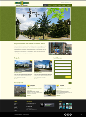 Wordpress Design by pb for Websites Made Easy Limited | Design: #3748961