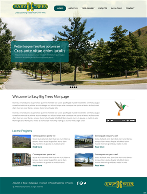 Wordpress Design by pb for Websites Made Easy Limited | Design: #3748966