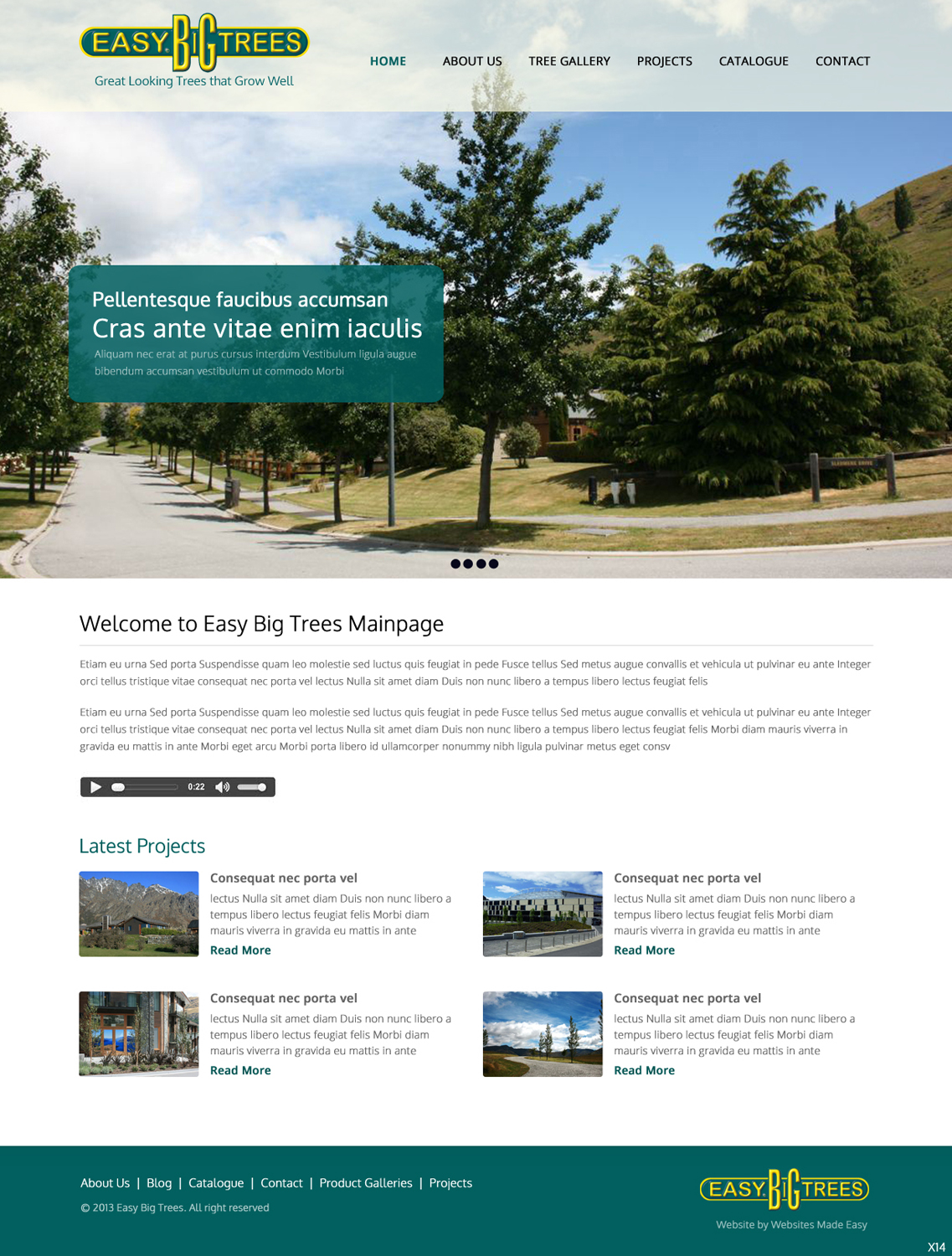 Wordpress Design by pb for Websites Made Easy Limited | Design #3756998