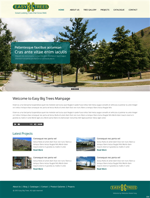Wordpress Design by pb for Websites Made Easy Limited | Design: #3757007