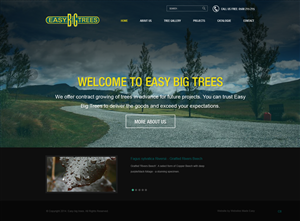 Wordpress Design by pb for Websites Made Easy Limited | Design: #3762602
