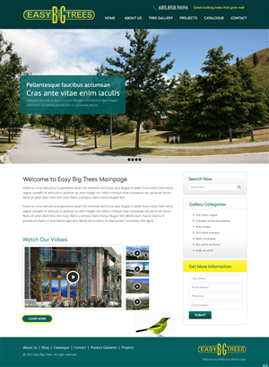 Diseño Wordpress por pb para Websites Made Easy Limited | Diseño #3946295