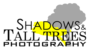 Logo Design by michael.l.melton for this project | Design #3742878