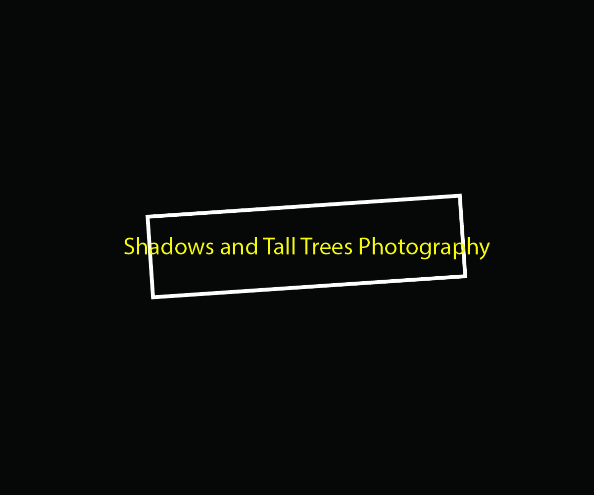 Diseño de Logo por AleOnDaWeb para este proyecto | Diseño #3738750