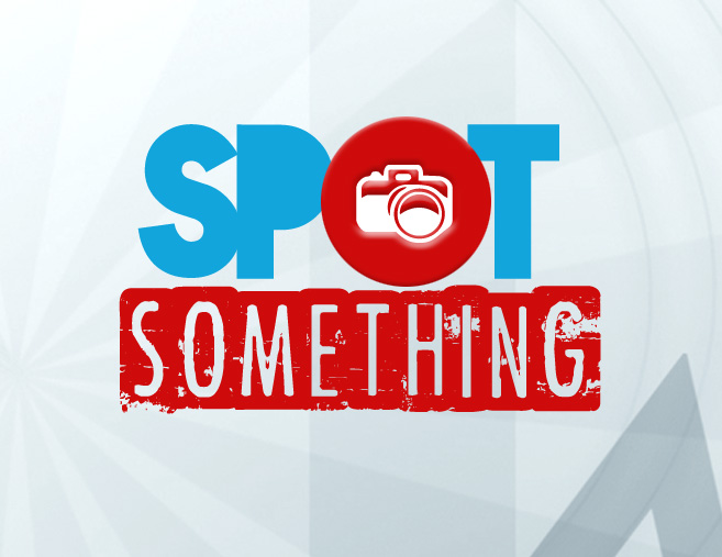 Logo Design by websix for this project | Design #984238